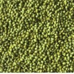 Green Moong (Whole) – ArifcoFoods